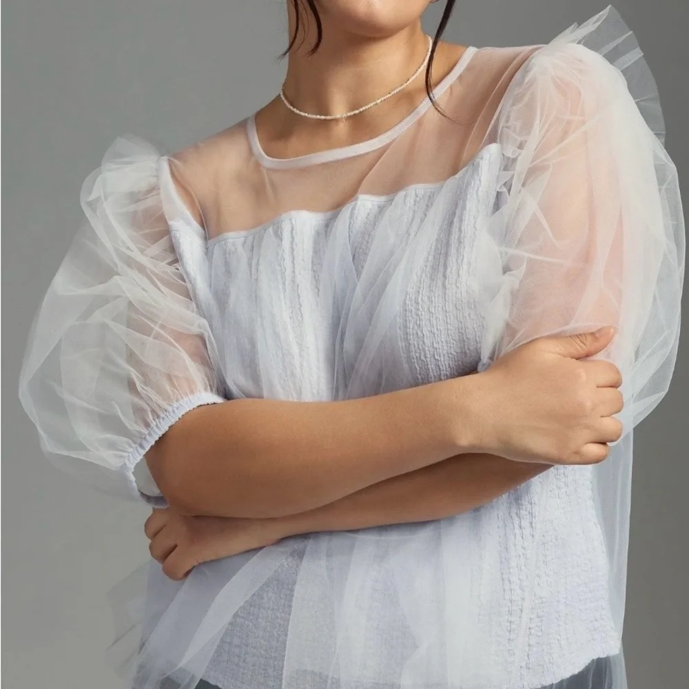Elegant Sheer Puff Sleeve Top